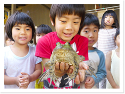 動植物の体験